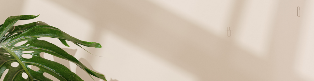 Crea y lanza tu curso online